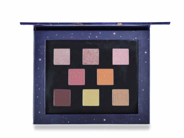 Palette magnetica
