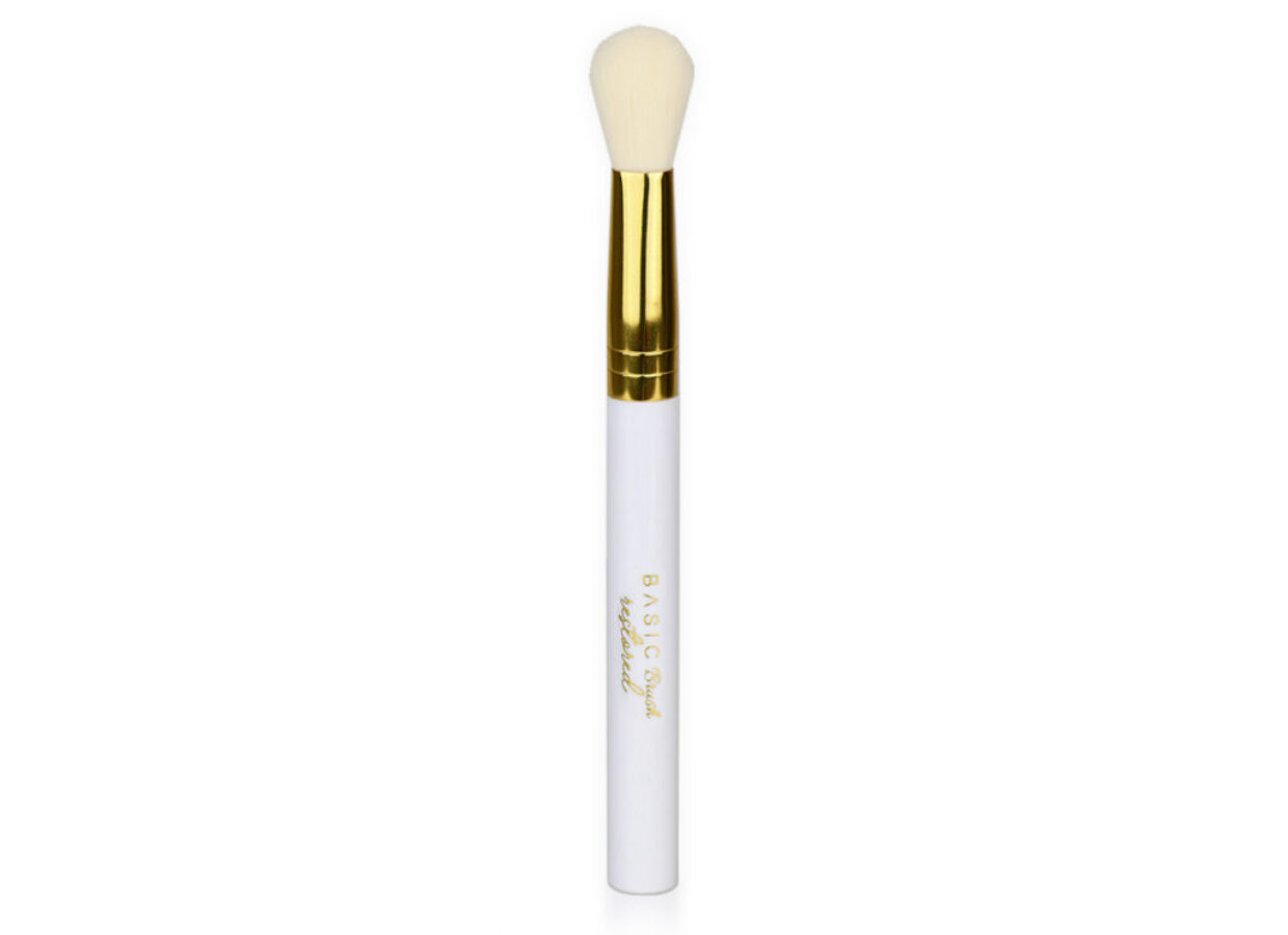 BASIC BRUSH RESTORED